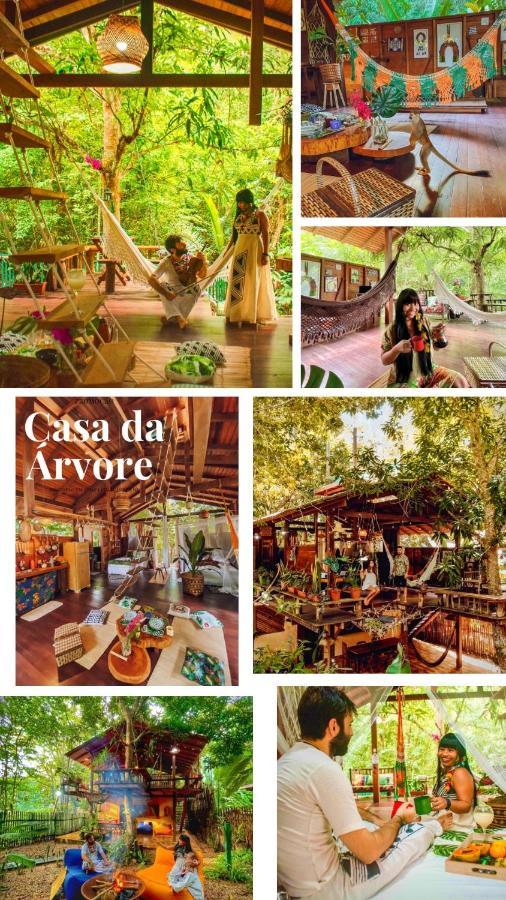 Casa Da Arvore, Sonho Na Amazonia, 2Min A Pe Da Praia Alter do Chão Luaran gambar