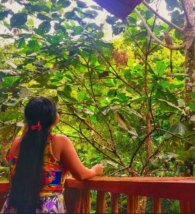 Casa Da Arvore, Sonho Na Amazonia, 2Min A Pe Da Praia Alter do Chão Luaran gambar